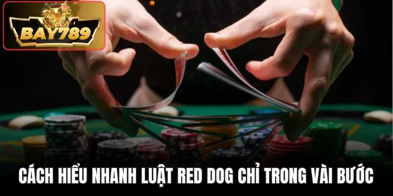 Red Dog Poker Bay789 - Biến Thể So Bài Nhanh Đầy Kịch Tính 3 Cách hiểu nhanh luật Red Dog chỉ trong vài bước