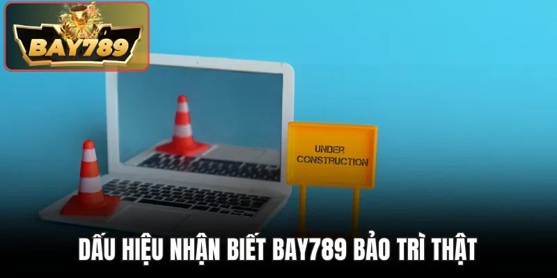 Bay789 Bảo Trì - Những Thông Tin Quan Trọng Cần Biết 3 Dấu hiệu nhận biết Bay789 bảo trì thật
