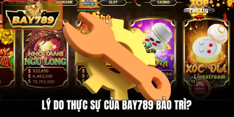 Bay789 Bảo Trì - Những Thông Tin Quan Trọng Cần Biết 2 Lý do thực sự của Bay789 bảo trì?