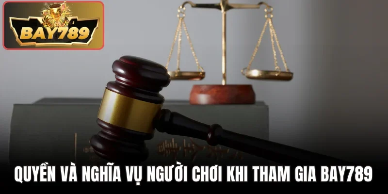 Bay789 Có Hợp Pháp Không - Phân Tích Cụ Thể Và Thực Tiễn 4 Quyền và nghĩa vụ người chơi khi tham gia Bay789
