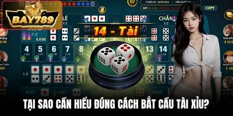 Cách Bắt Cầu Tài Xỉu - Chiến Lược Thăm Dò Chuẩn Từ Bay789 2 Tại sao cần hiểu đúng cách bắt cầu Tài Xỉu?